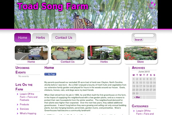 pandora theme site design template sample