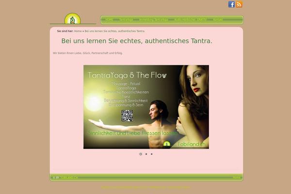 Site using Easy Shortcode Buttons plugin