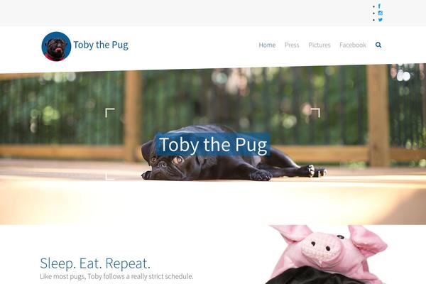 Capture theme site design template sample
