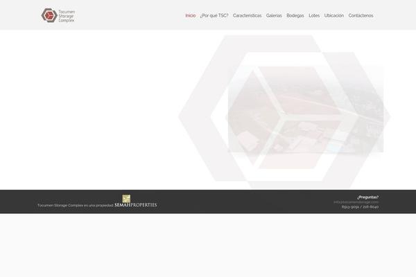 Aaika theme site design template sample