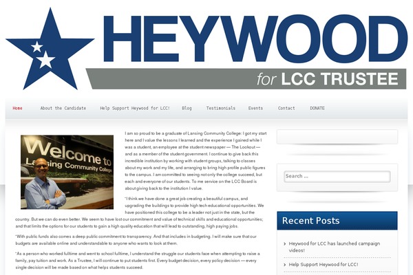 Candidate theme site design template sample