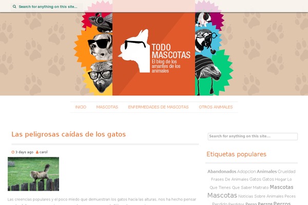 Site using Autoptimize plugin