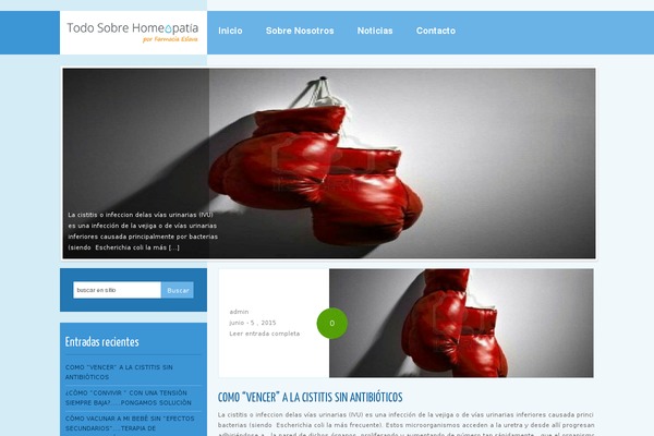 Boston theme site design template sample