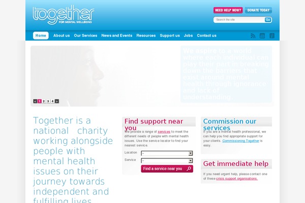 Together theme websites examples