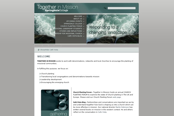 Tim theme site design template sample