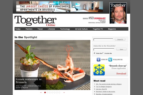 Site using Wp_pro_ad_system plugin