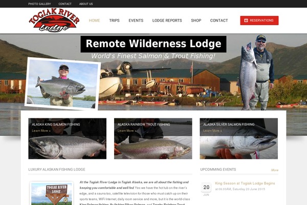 Hotec theme site design template sample