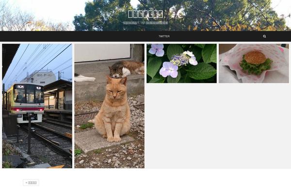 togoshiginger.com site used Pixgraphy