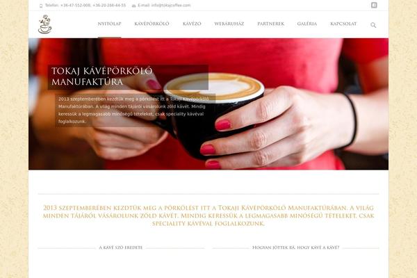 i-excel theme site design template sample