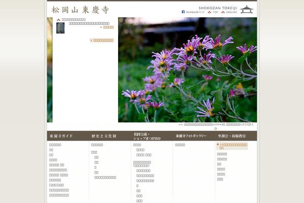 Site using Contact Form 7 add confirm plugin