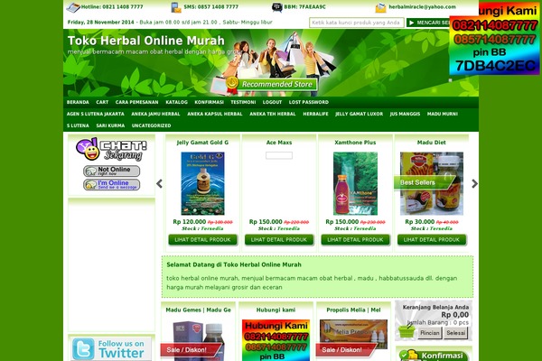 Indostore4-2client theme site design template sample