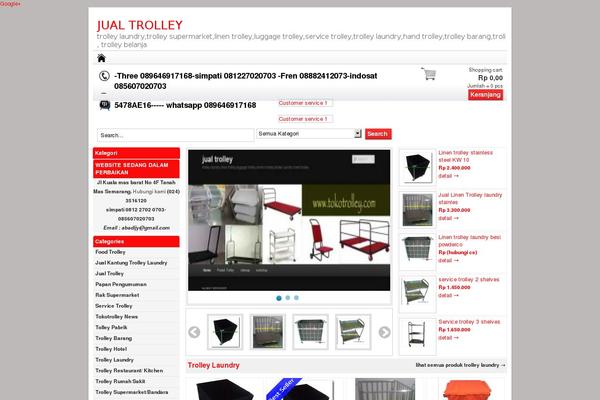 Site using Traffic Counter Widget plugin