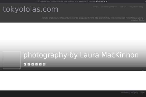 Whitelight theme site design template sample
