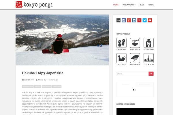 Site using Advance Portfolio Grid plugin