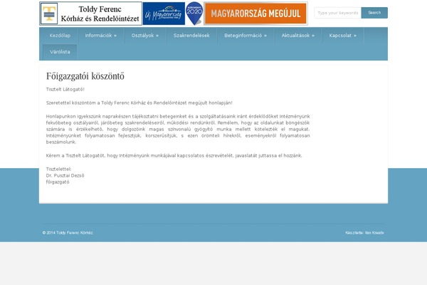 Iconic One theme site design template sample