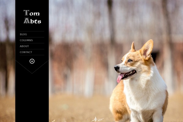 tomabts.com site used Kingsize2