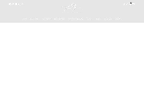 Photography theme site design template sample