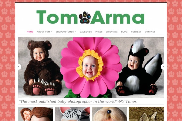 Site using Google AJAX Translation plugin