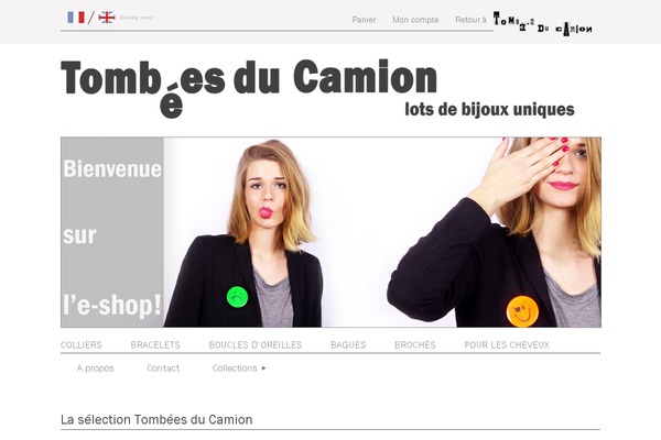 tombeesducamion-bijoux.com site used Tdc