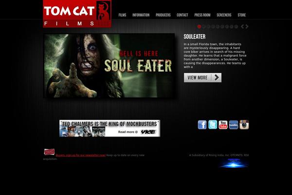 Titanium-wp theme site design template sample