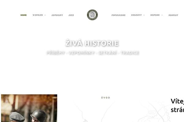 Site using Granular-controls-for-elementor plugin