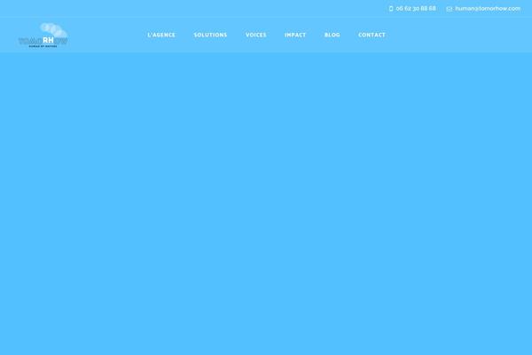 Mrseo theme site design template sample