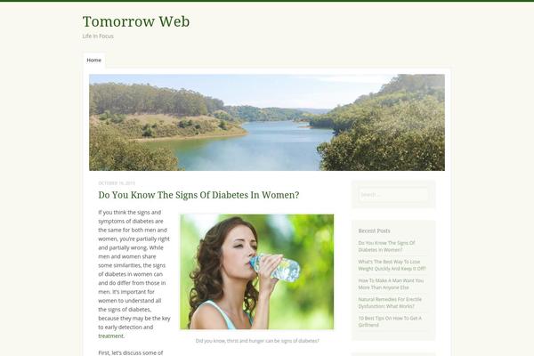 Misty Lake theme site design template sample