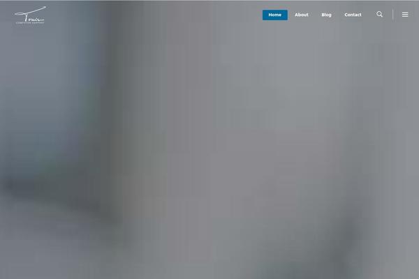 Startit theme site design template sample