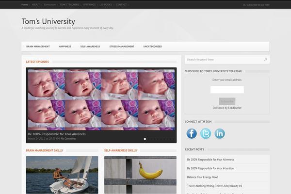 Widezine theme site design template sample