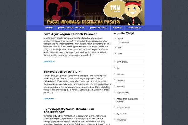 Socrates 4.0 theme site design template sample