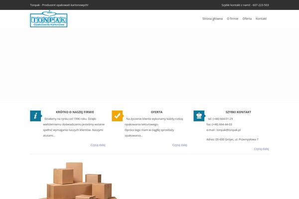 PRO Business theme site design template sample