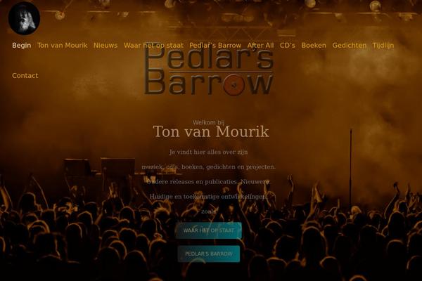 Site using Audioigniter plugin