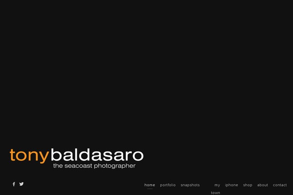picolight theme site design template sample