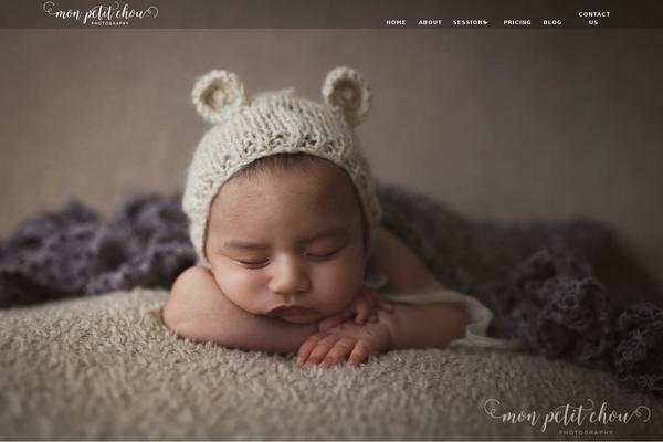 Launch theme site design template sample