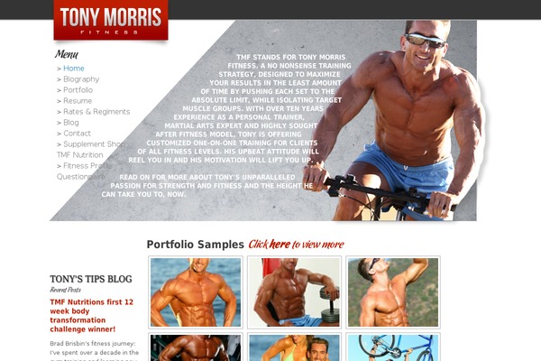 WP-Glitchtank WordPress theme, websites list used WP-Glitchtank theme WP-Glitchtank theme websites examples