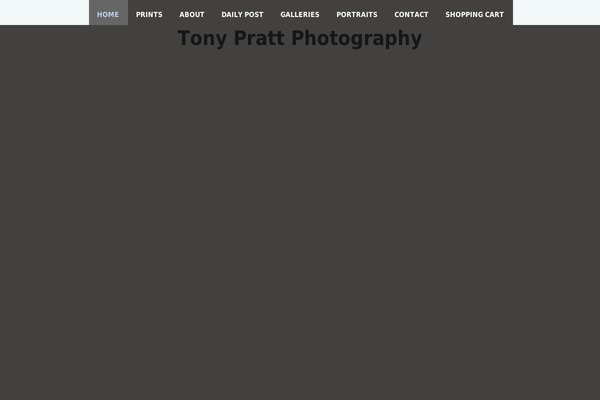 Photocrati theme site design template sample