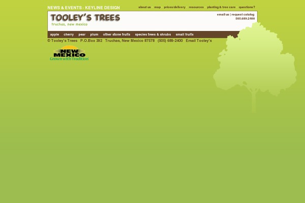tooley theme websites examples