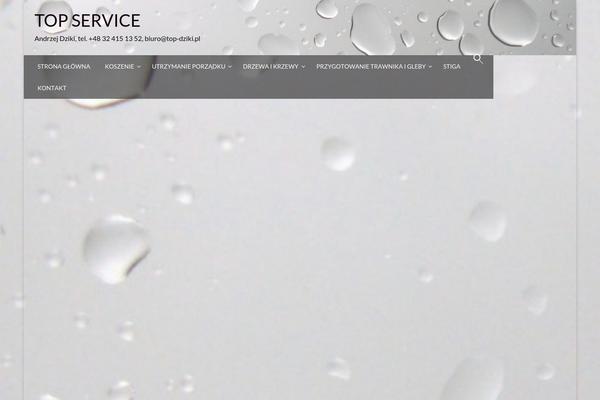 Newspaperss theme site design template sample