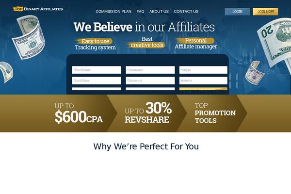 Avada Child Theme theme site design template sample