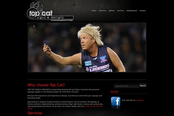 Alabastroswp theme site design template sample