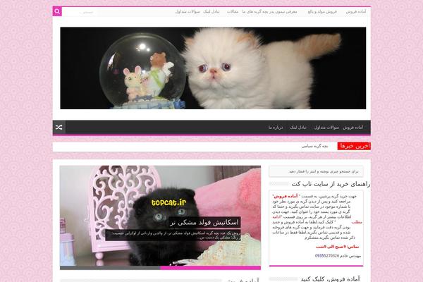Sahifa-wpcity theme site design template sample