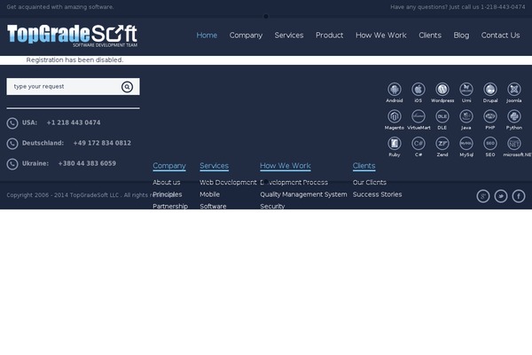 Appic theme site design template sample