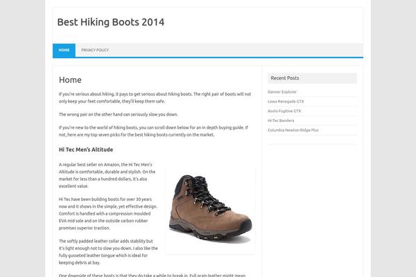 Iconic One theme site design template sample