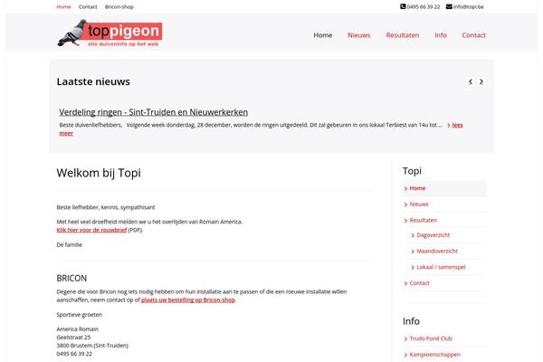 Site using Open Files In New Window or Tab plugin