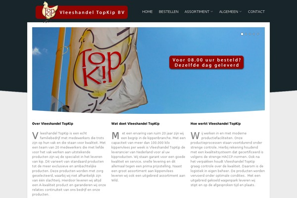 Verse-wp theme site design template sample