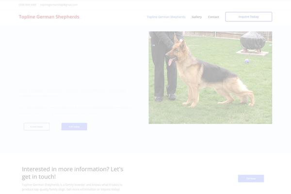 LeadEngine theme site design template sample