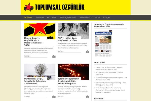 Playbook theme site design template sample