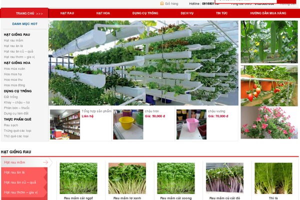 Raothue theme site design template sample