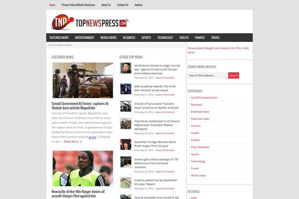 News theme site design template sample