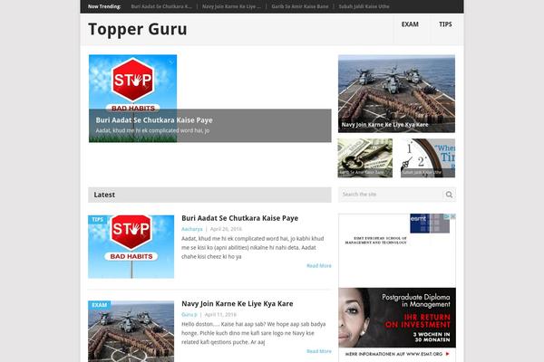 Point theme site design template sample